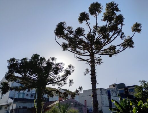 AJR Solar