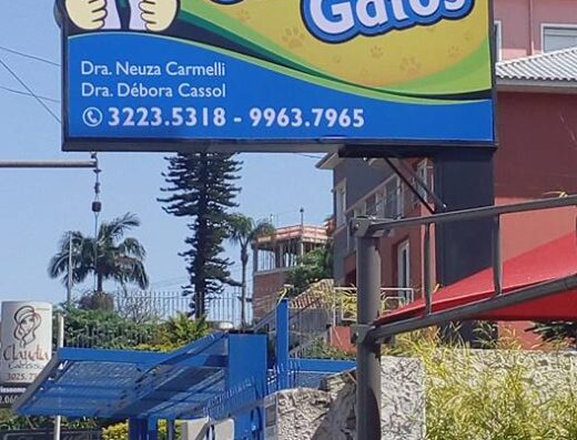 Cães & Gatos Consultório Veterinário