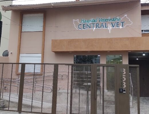 Central Vet