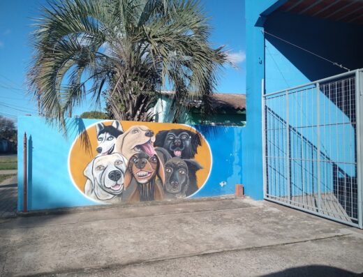 Don Pet & Casa