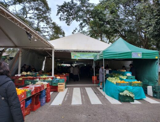 Feira Internacional Do Cooperativismo