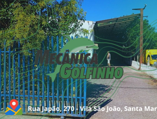 Mecânica Golfinho