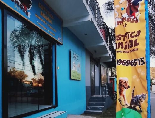 Momoso Pet Estética Animal Consultório Veterinário Hotel e Creche