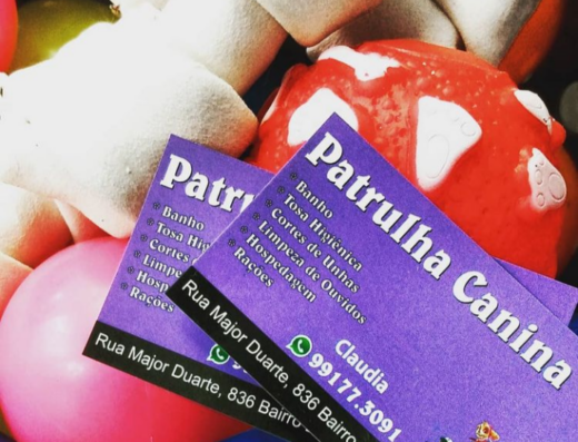 Patrulha Canina