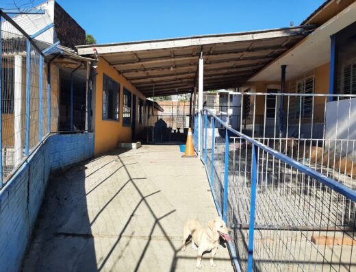 Sede do Cachorro Consultório Veterinário
