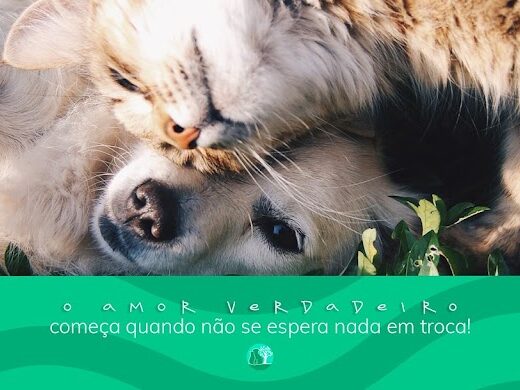 Veterinária do Parque